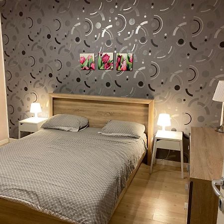 Igi Red Flat With Free Private Parking Διαμέρισμα Κλουζ-Ναπόκα Εξωτερικό φωτογραφία