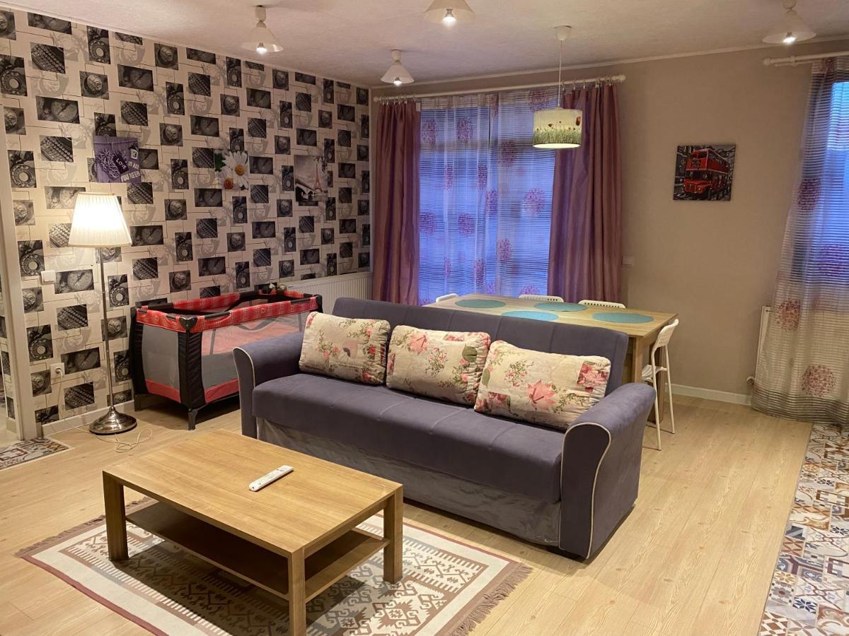 Igi Red Flat With Free Private Parking Διαμέρισμα Κλουζ-Ναπόκα Εξωτερικό φωτογραφία